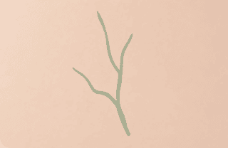 Green or olive