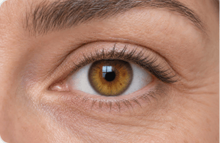 Hazel, amber or warm green