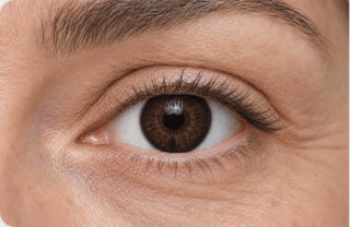 Deep brown or ebony
